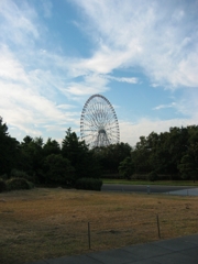震災前、自転車で行った葛西臨海公園