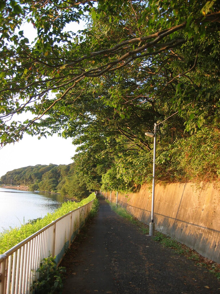 市川市の江戸川の土手から松戸へサイクリング中の撮影