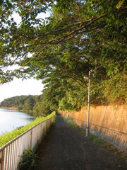 市川市の江戸川の土手から松戸へサイクリング中の撮影