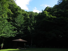 千葉県奥地へ一人旅。ペーパードライバー運転練習の為