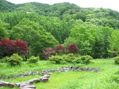 2004年クワガタ採集、北茨城、福島県