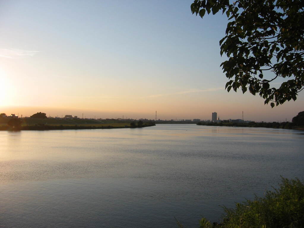 市川市の江戸川の土手から松戸へサイクリング中の撮影