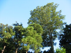 子供の頃に遊んだ場所 夏