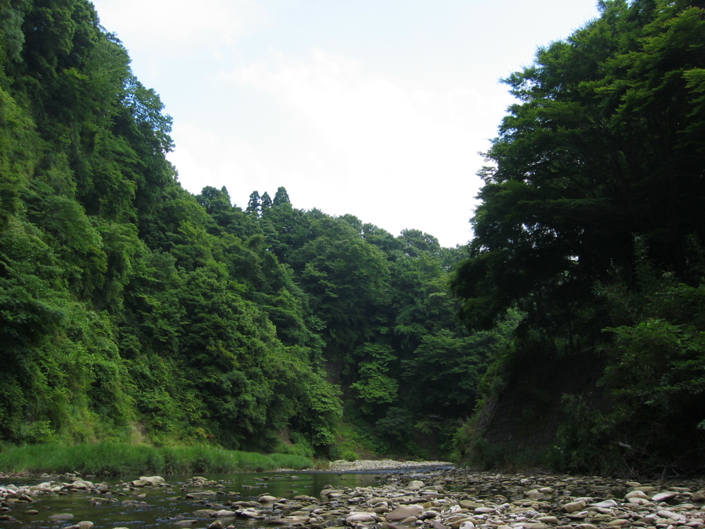 初夏、千葉県養老渓谷
