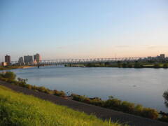 市川市の江戸川の土手から松戸へサイクリング中の撮影