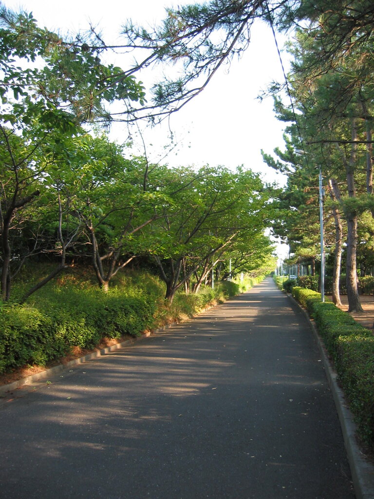 震災前のサイクリングロード