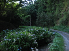 千葉県奥地へ一人旅。ペーパードライバー運転練習の為