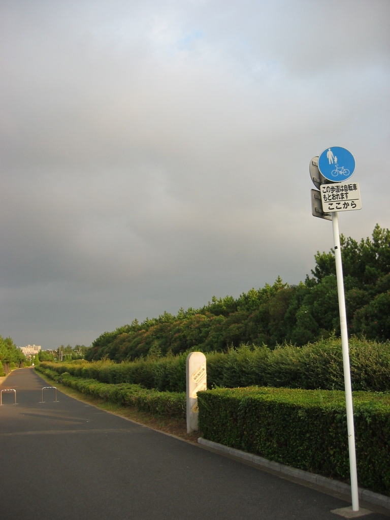 震災前のサイクリングロード