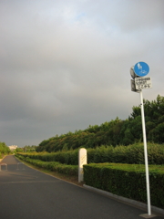 震災前のサイクリングロード