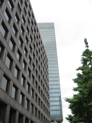 GMO作物反対抗議集会