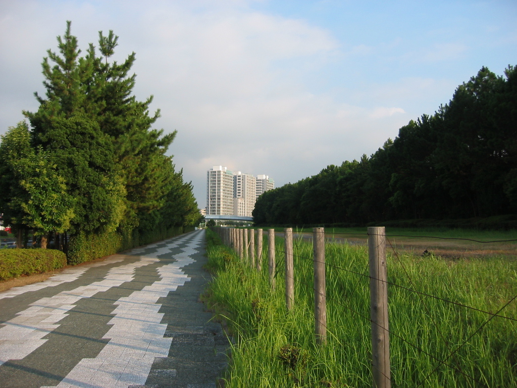 震災前のサイクリングロード