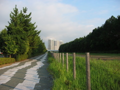 震災前のサイクリングロード