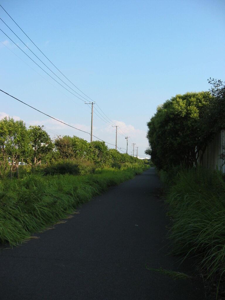 震災前のサイクリングロード
