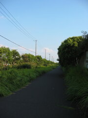 震災前のサイクリングロード