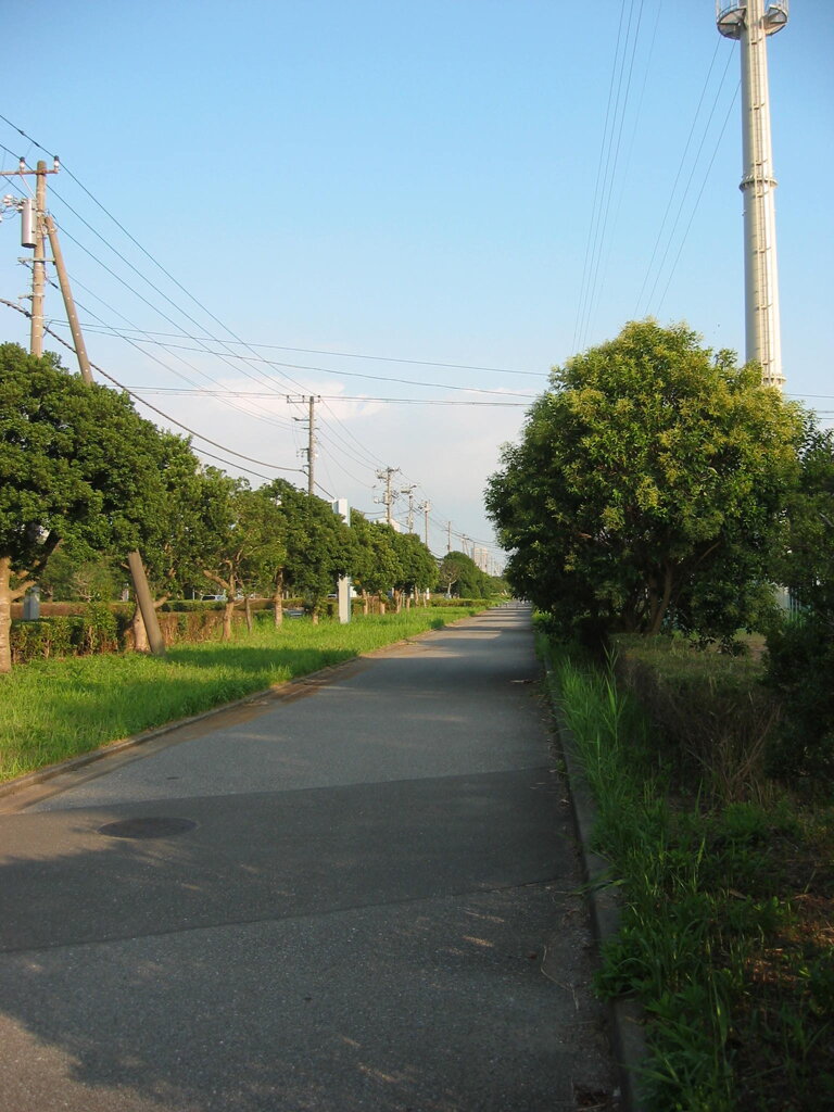 震災前のサイクリングロード
