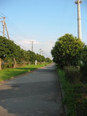 震災前のサイクリングロード