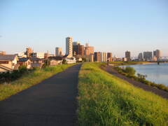 市川市の江戸川の土手から松戸へサイクリング中の撮影