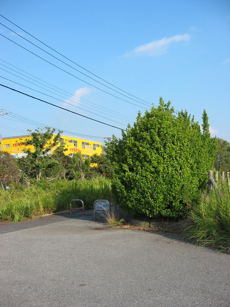 震災前のサイクリングロード