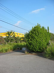 震災前のサイクリングロード