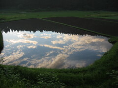 2004年クワガタ採集、北茨城、福島県