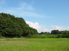 子供の頃に遊んだ場所 夏