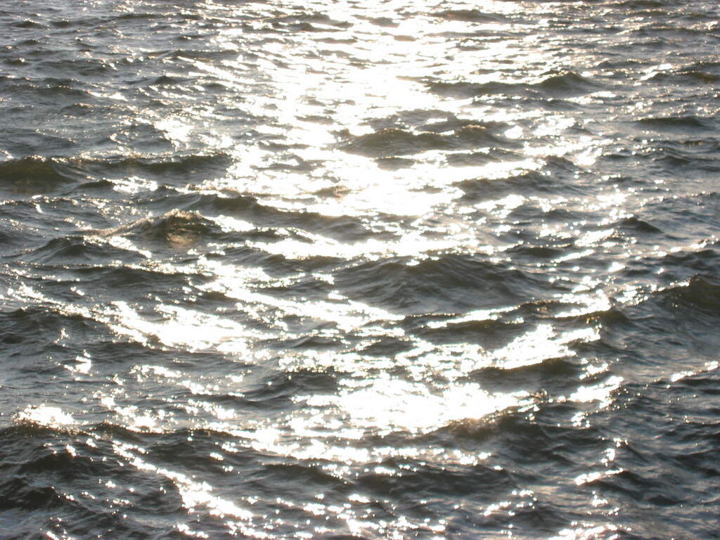 ポートタワーの海岸より