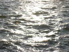 ポートタワーの海岸より