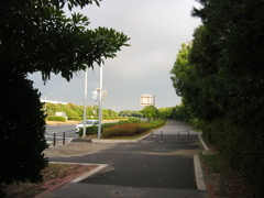 震災前のサイクリングロード