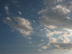 千葉市ポートタワー