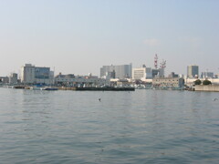 船橋港にて