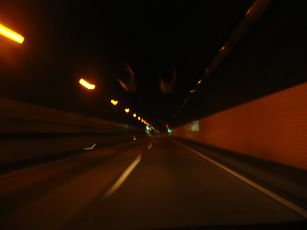 2004年クワガタ採集、北茨城、福島県