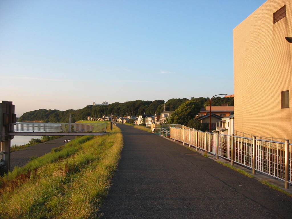 市川市の江戸川の土手から松戸へサイクリング中の撮影