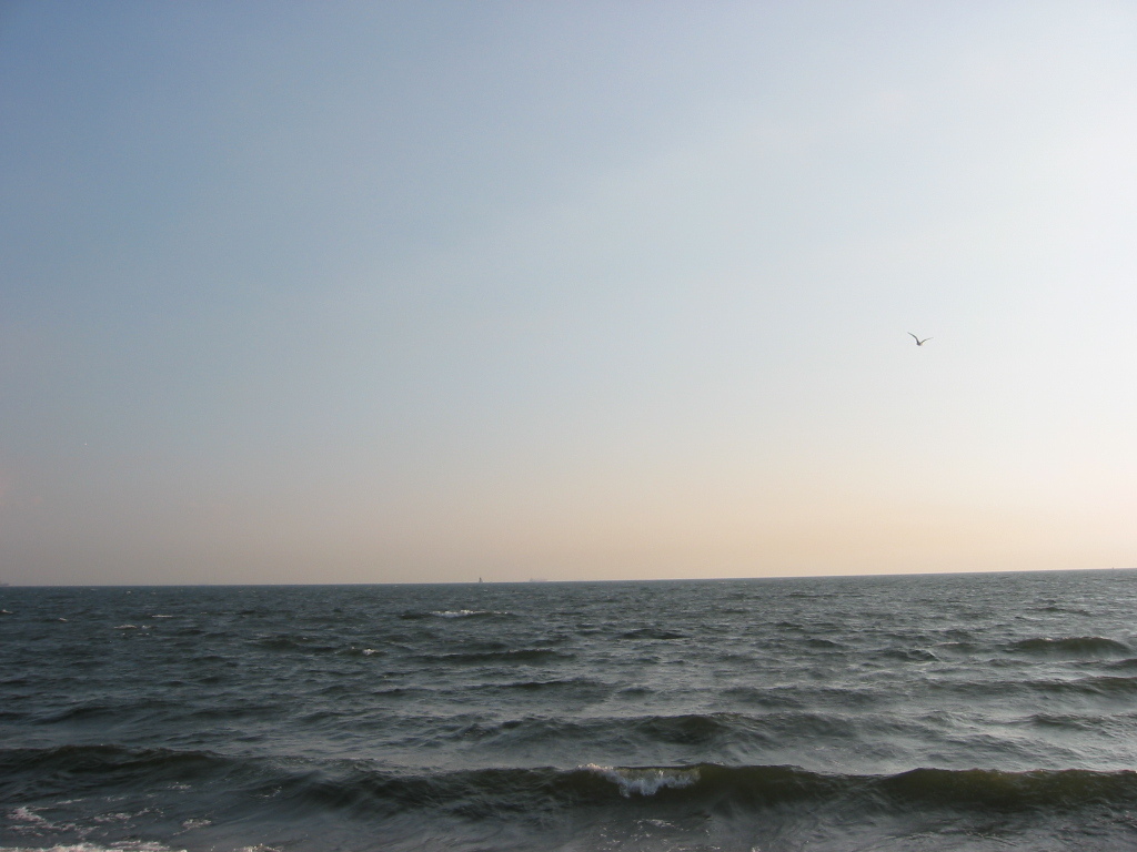 震災前のサイクリングロード