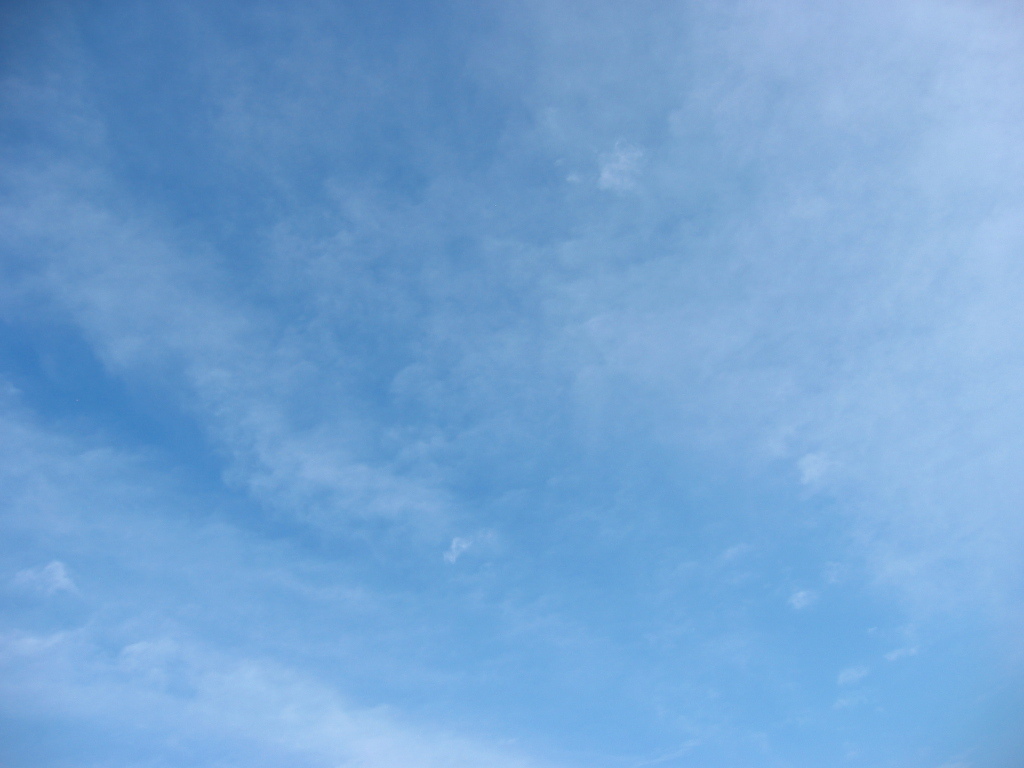 震災前、自転車で行った葛西臨海公園
