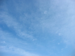 震災前、自転車で行った葛西臨海公園