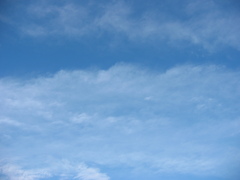 震災前、自転車で行った葛西臨海公園