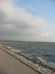 震災前のサイクリングロード