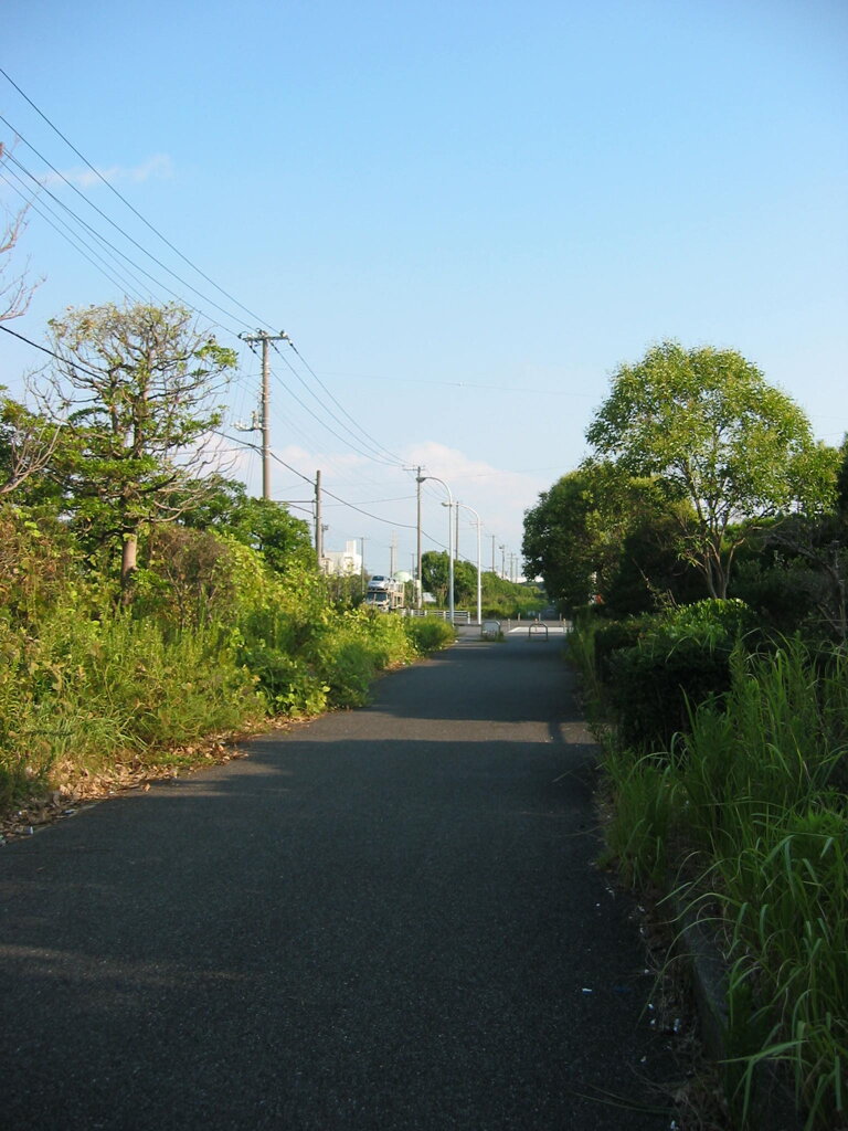 震災前のサイクリングロード