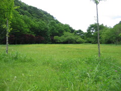 2004年クワガタ採集、北茨城、福島県