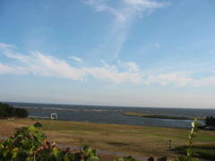 震災前、自転車で行った葛西臨海公園