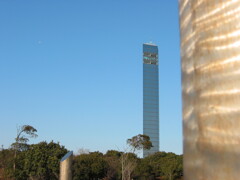 千葉市ポートタワーの中の公園より望む