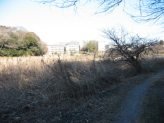 子供の頃に遊んだ場所