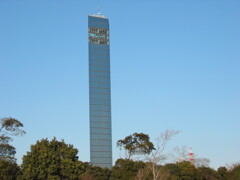 千葉市ポートタワーの中の公園より望む