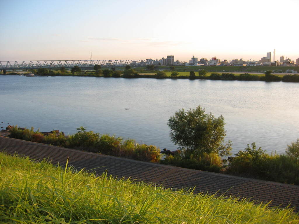 市川市の江戸川の土手から松戸へサイクリング中の撮影