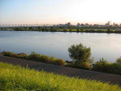 市川市の江戸川の土手から松戸へサイクリング中の撮影