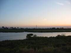 市川市の江戸川の土手から松戸へサイクリング中の撮影