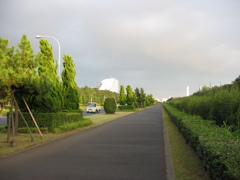 震災前のサイクリングロード