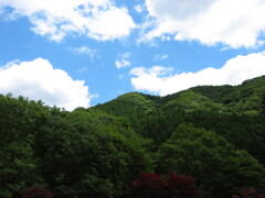 2004年クワガタ採集、北茨城、福島県