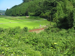千葉県奥地へ一人旅。ペーパードライバー運転練習の為