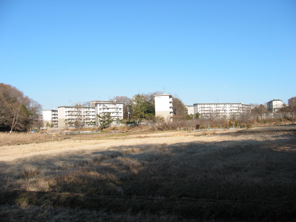 子供の頃に遊んだ場所